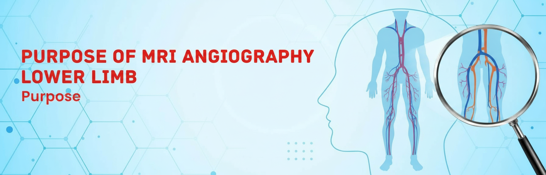 Purpose of MRI Angiography Lower Limb